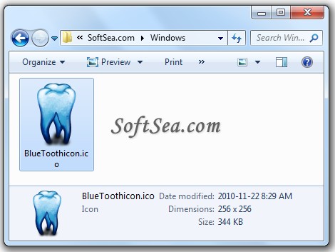 Blue Tooth Icon Screenshot