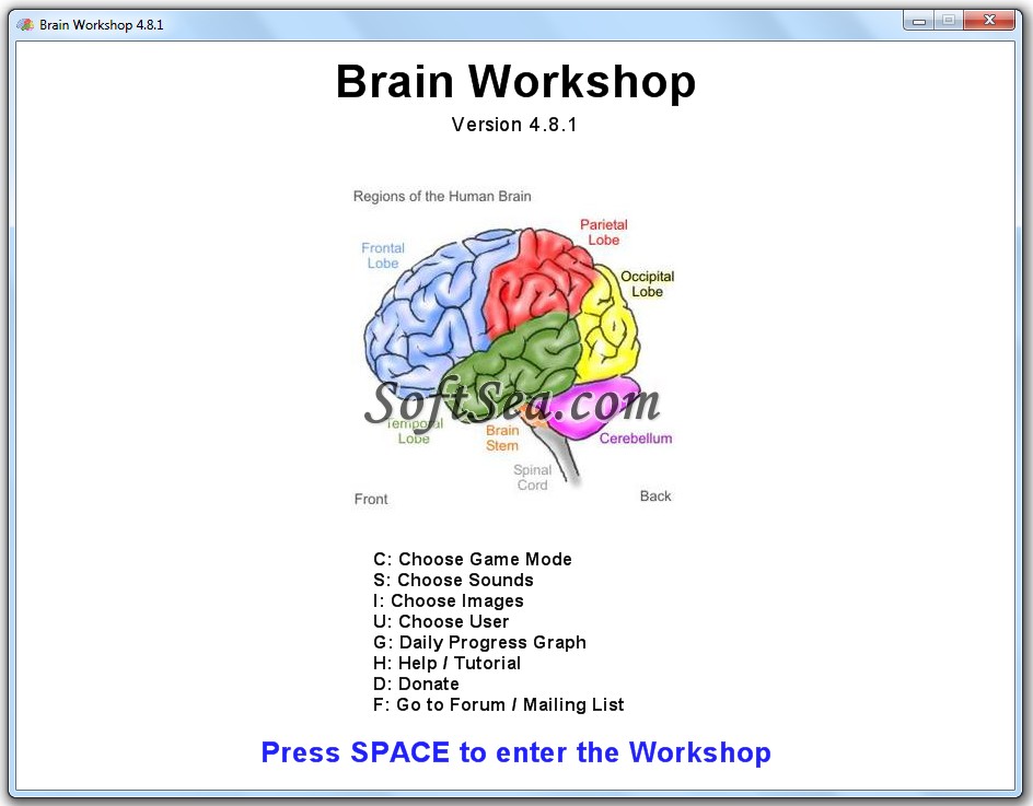 Brain Workshop Screenshot