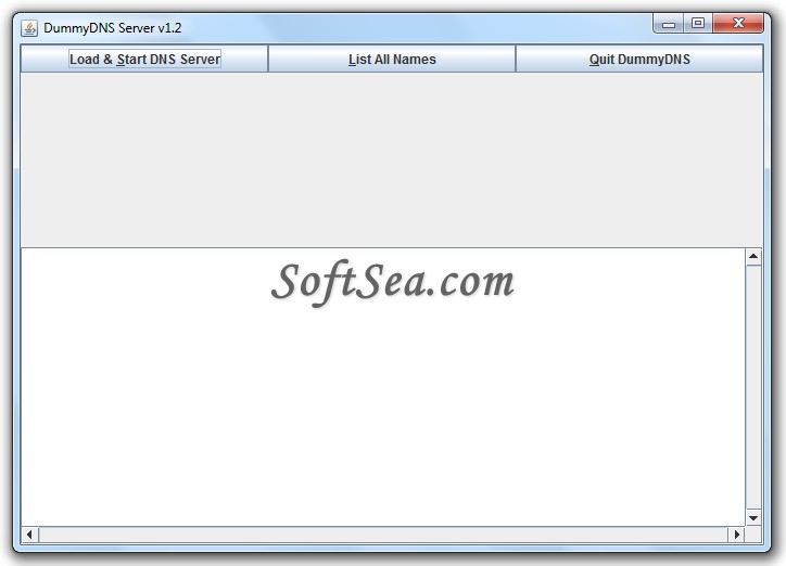 DummyDNS Server Screenshot