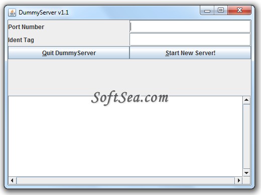 DummyServer Screenshot