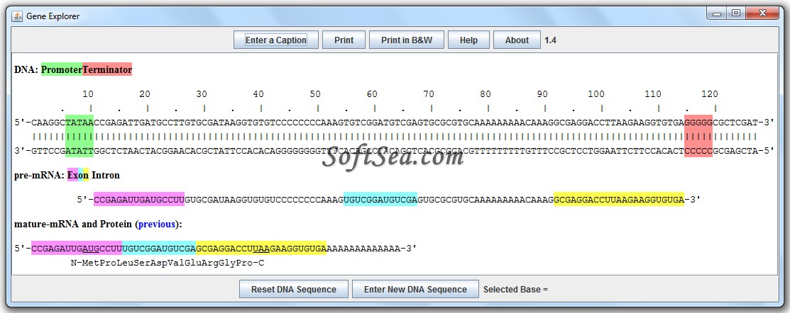 Gene Explorer Screenshot