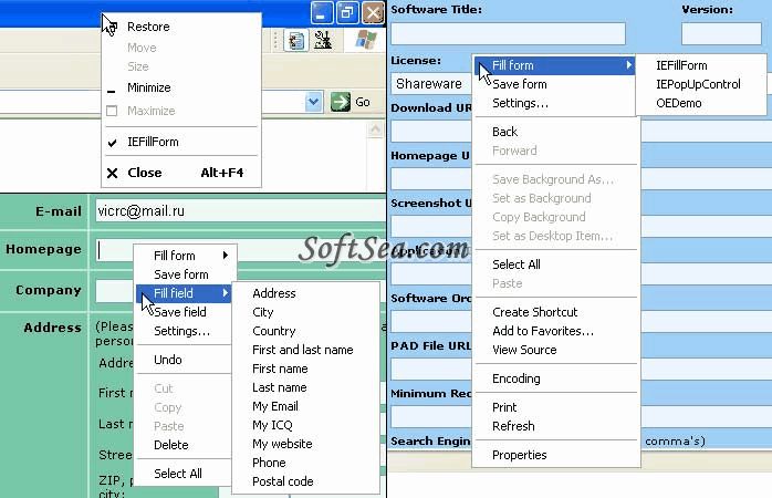 IEFillForm Screenshot