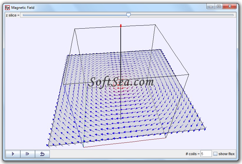 Magnetic Field from Loops Model Screenshot