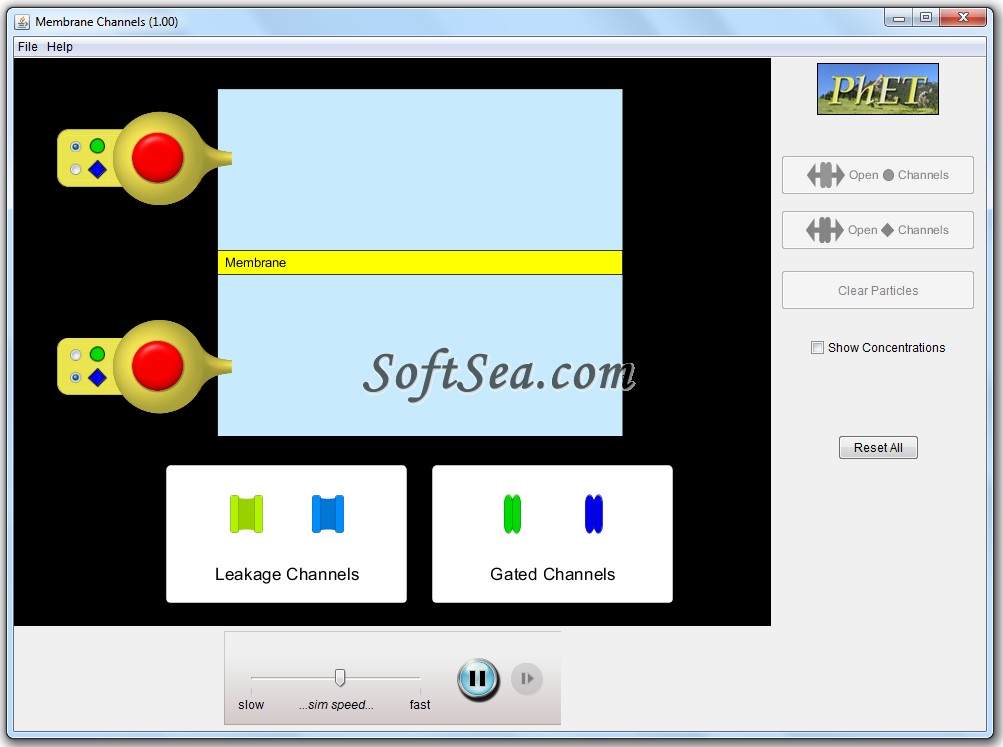 Membrane Channels Screenshot