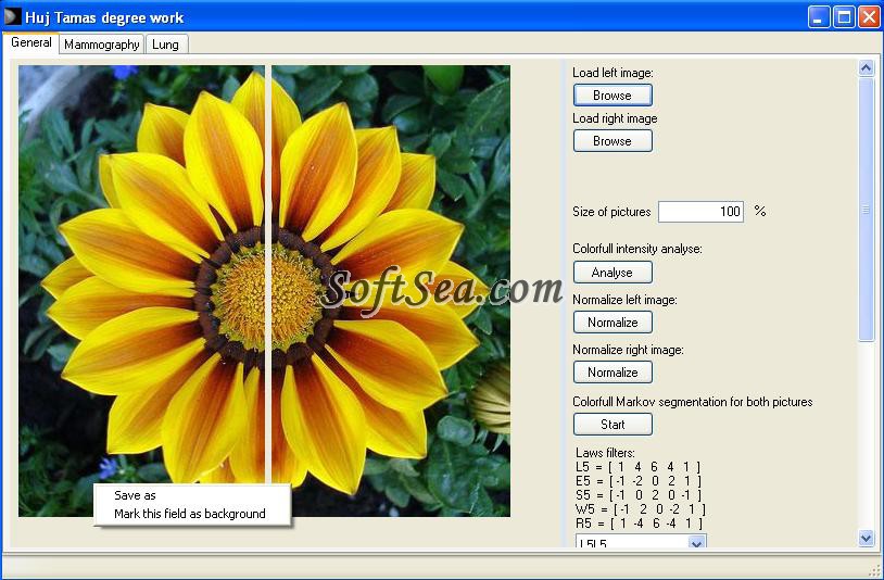 Sasa - Segmentator and symmetry analyser Screenshot