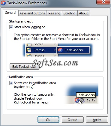 Taekwindow Screenshot